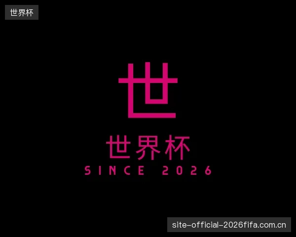 认识世界杯公司